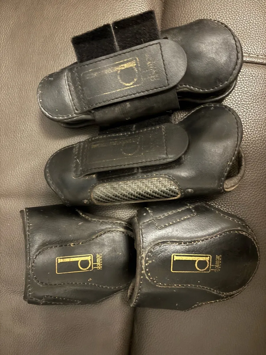 Dalmar tendon boots