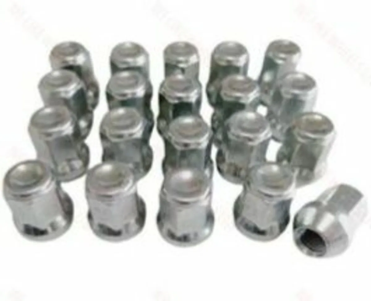 Ford Focus wheel nuts - Delivery - Image 1