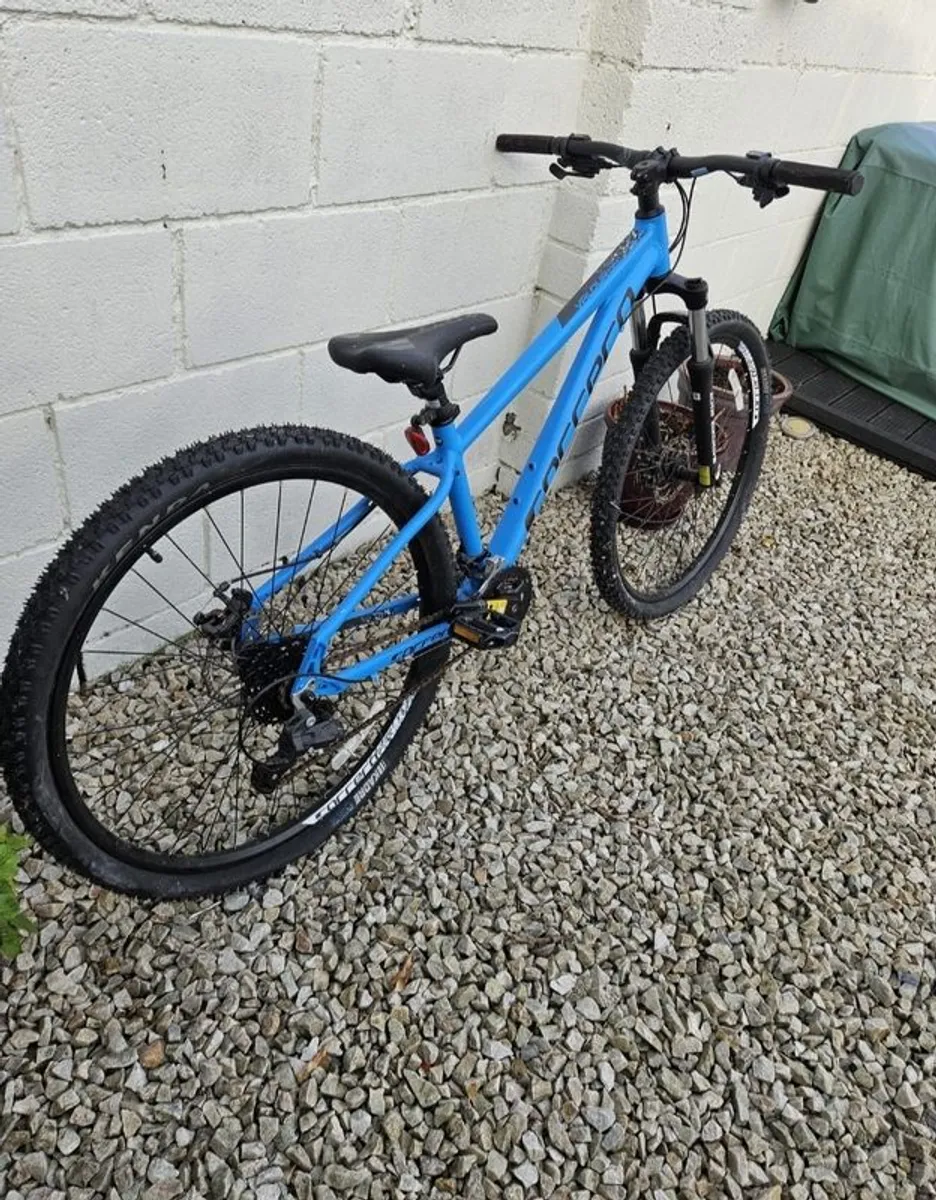bikes - Image 1