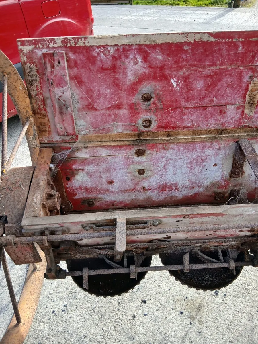 Vintage Manure Shaker - Image 4