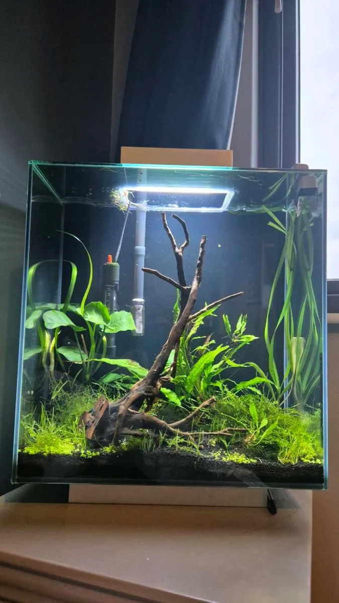 Fluval Edge 46l - Image 2