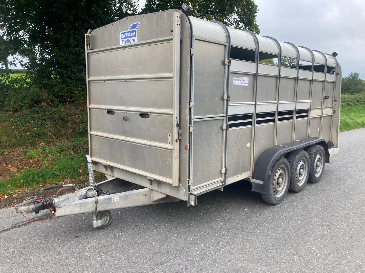 2011 Ifor Williams 14 Tri 14x5’10 Cattle Trailer - Image 1
