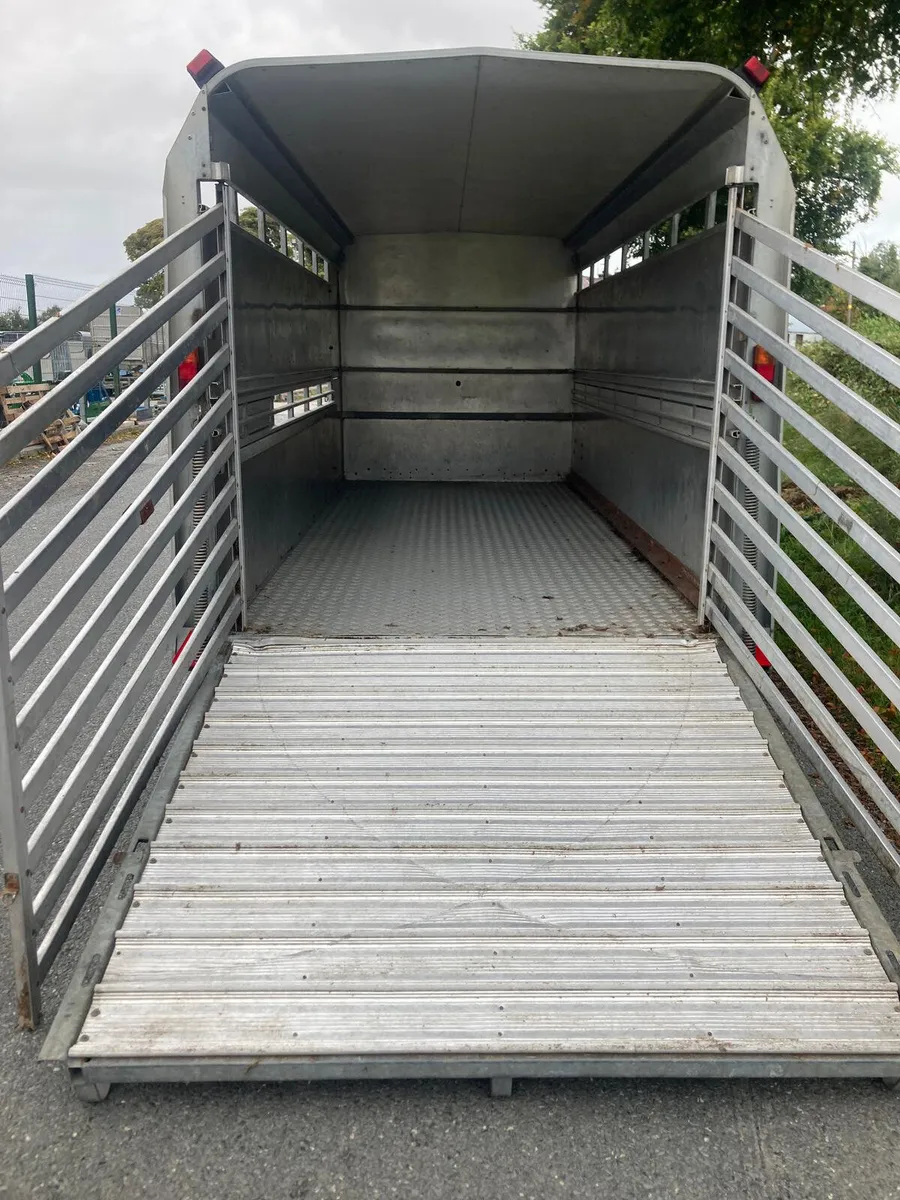 2011 Ifor Williams 14 Tri 14x5’10 Cattle Trailer - Image 3