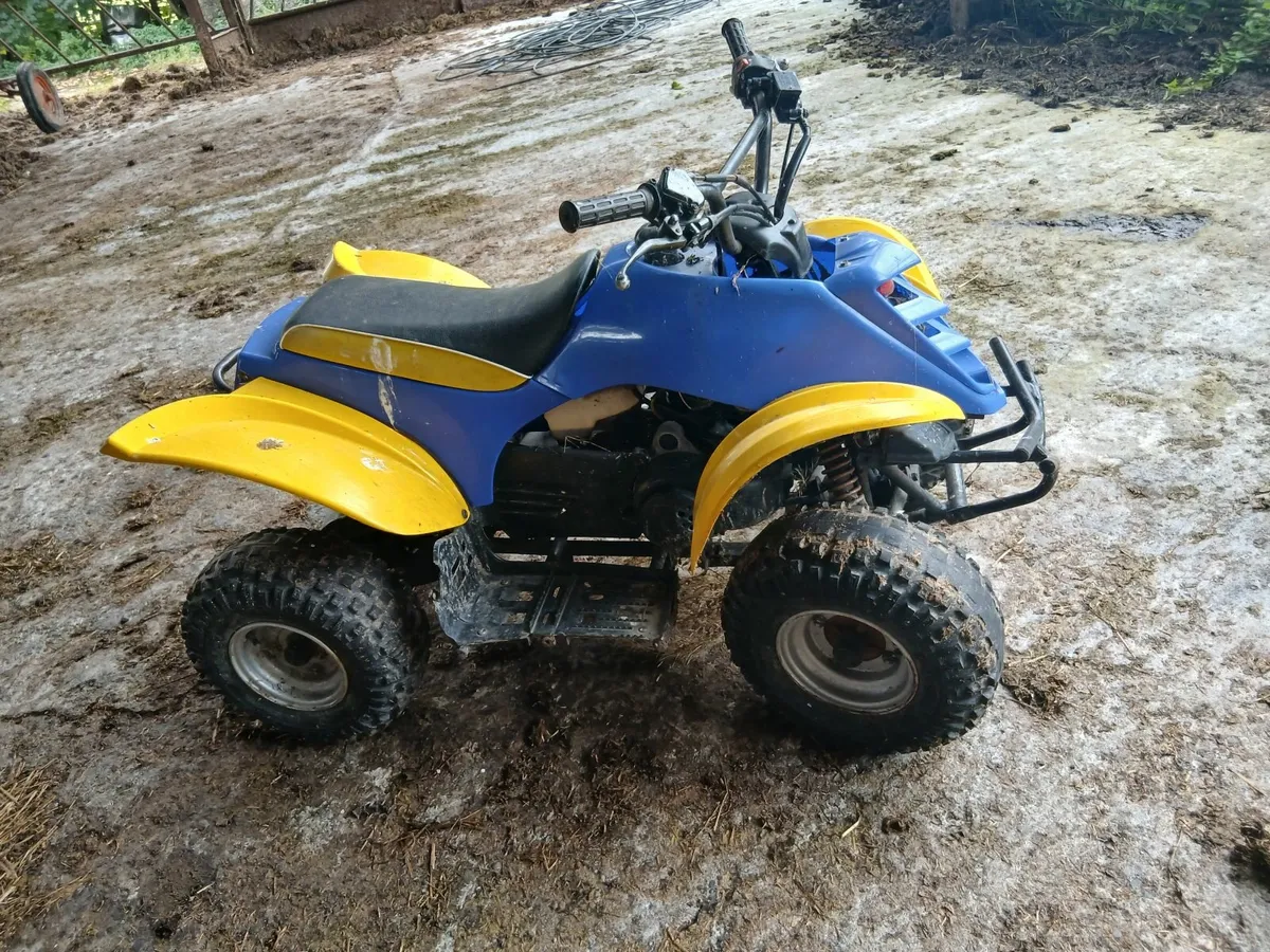 Kids Quad - Image 1