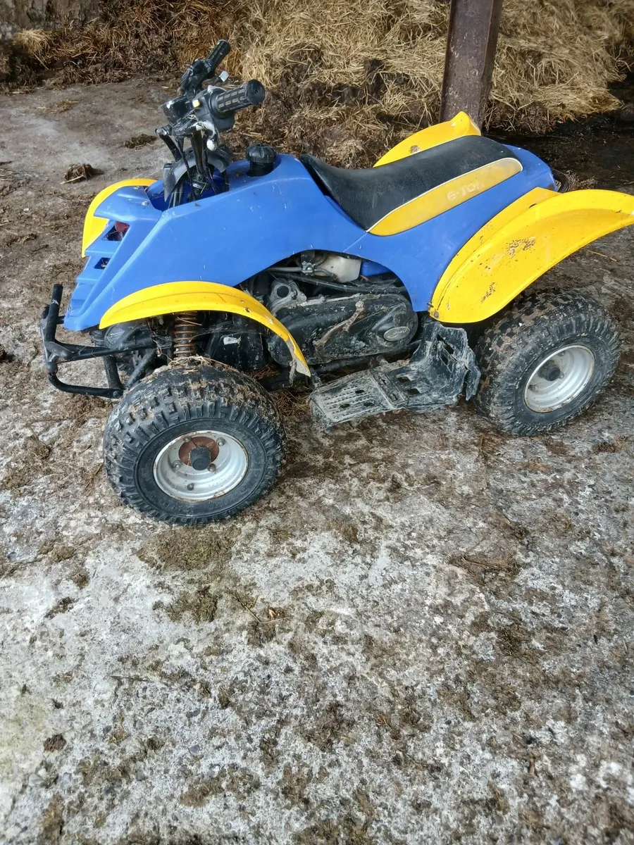 Kids Quad - Image 2