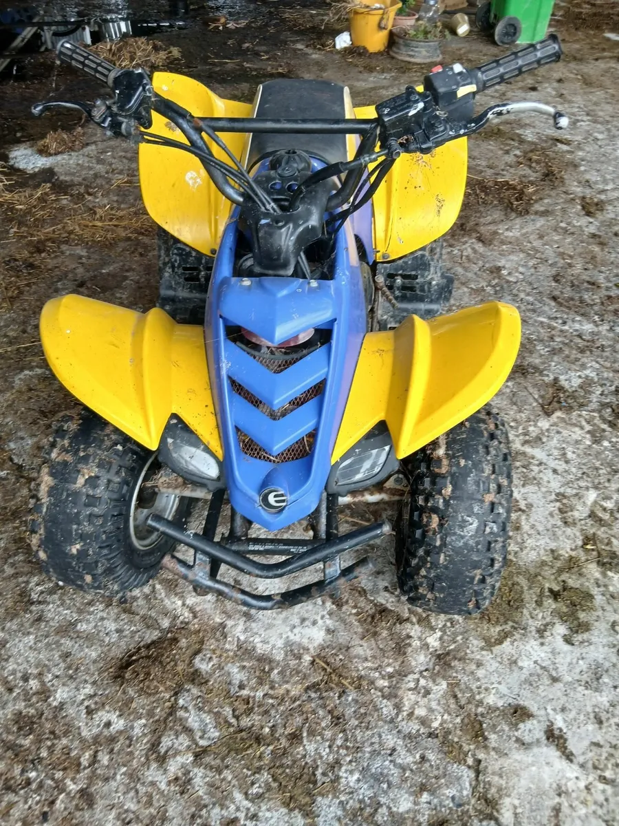 Kids Quad - Image 3