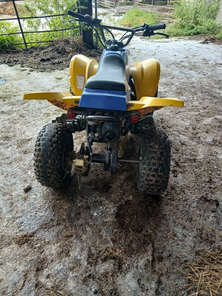 Kids Quad - Image 4