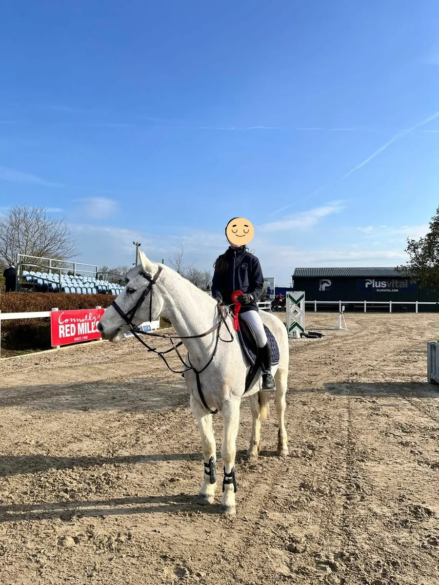 14.2 Pony for sale - Image 3