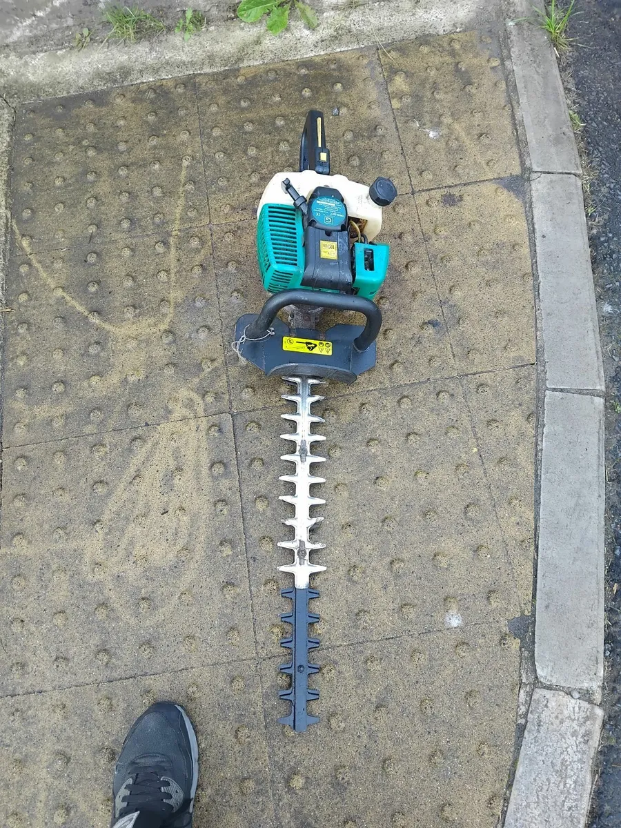 2 hedge strummers running very well priced - Image 2
