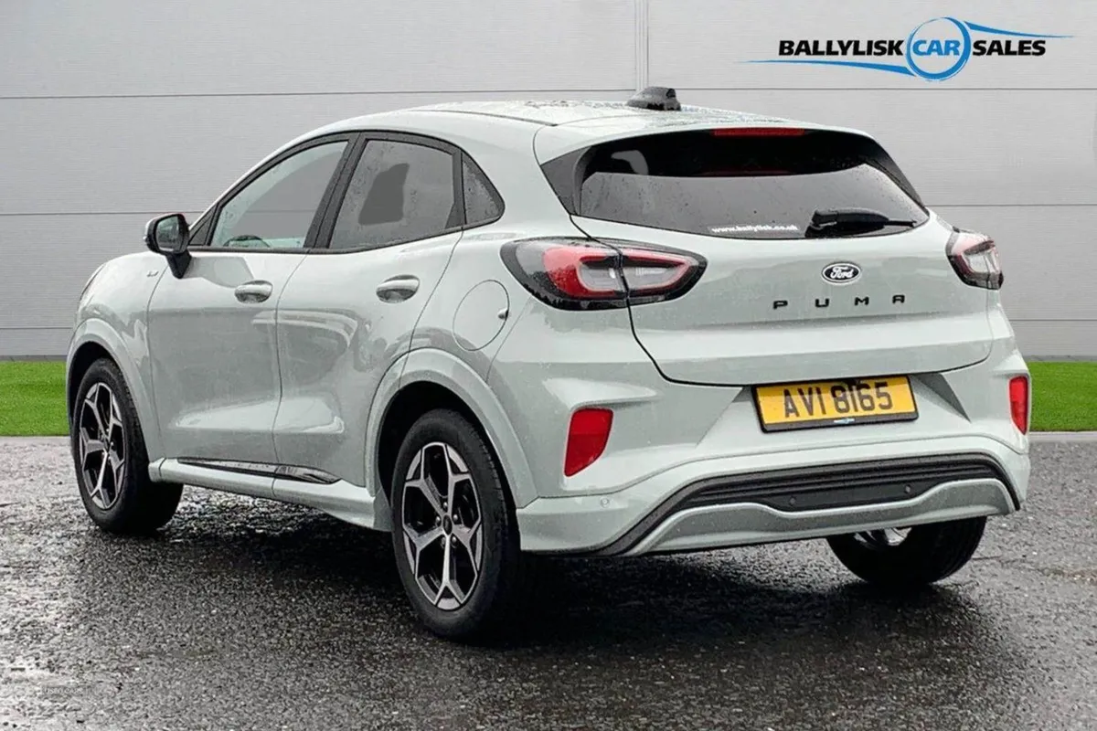 Ford Puma 1.0t 125PS St-line in Cactus Grey With - Image 2