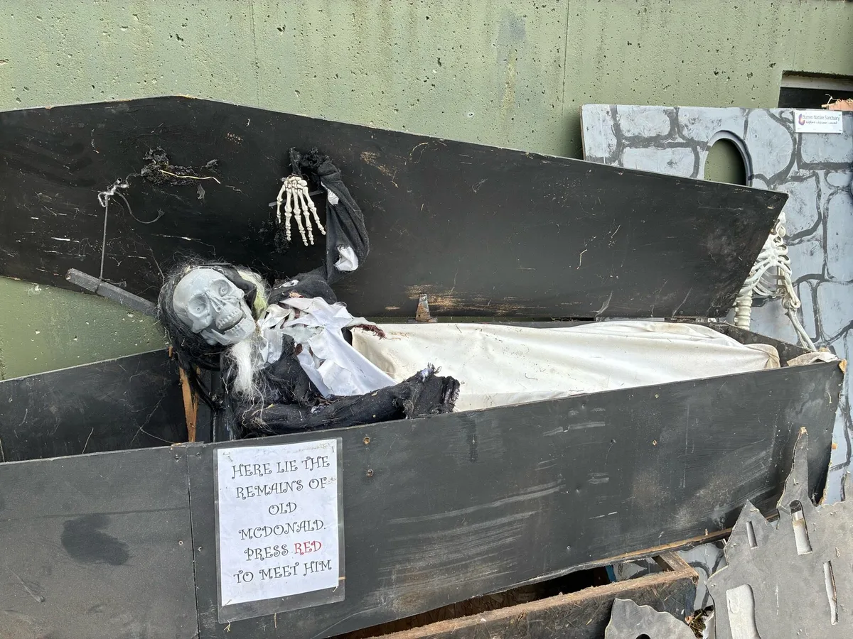Halloween Props - Image 1
