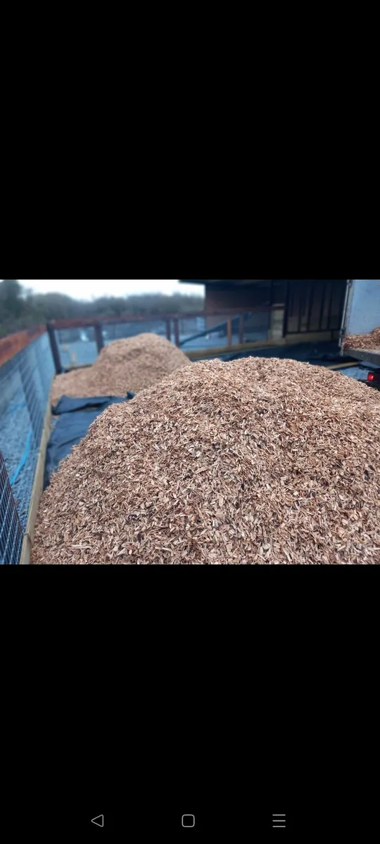 Sawdust And Woodchip - Image 3