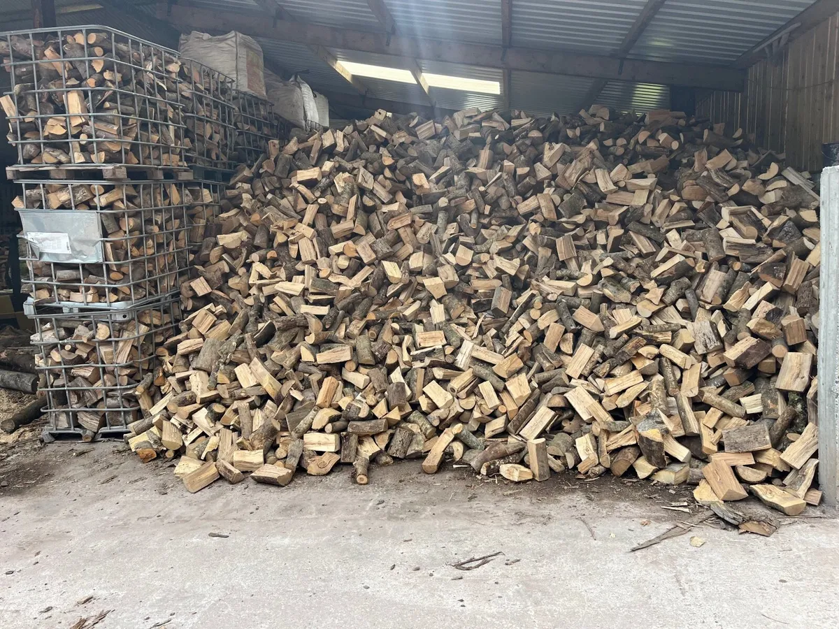 Firewood - Image 1
