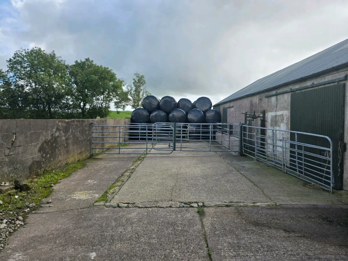 Haylage  and silage