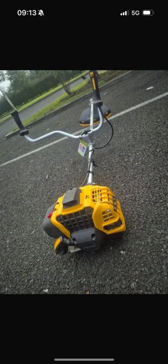 Lawnmower & Strimmers - Image 4