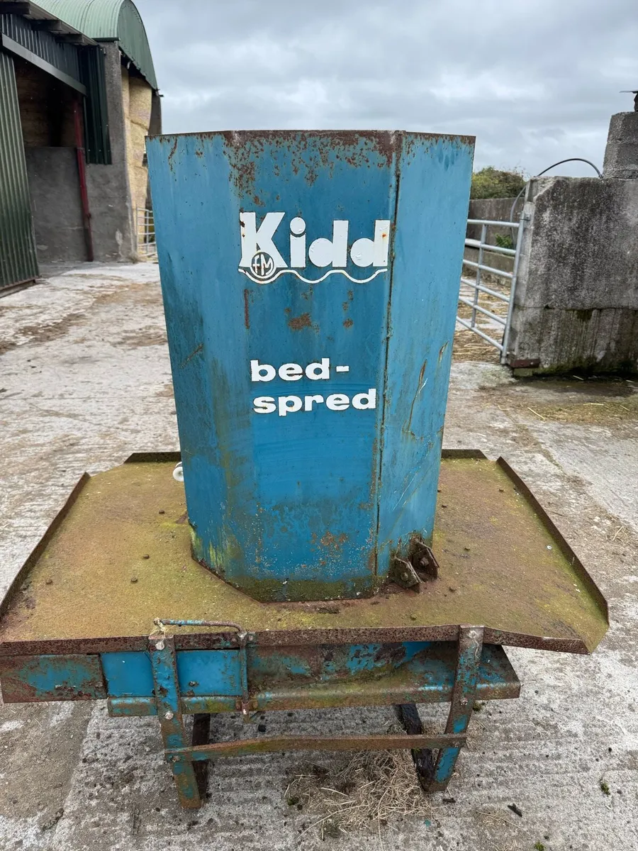 Yard clear out - Image 2