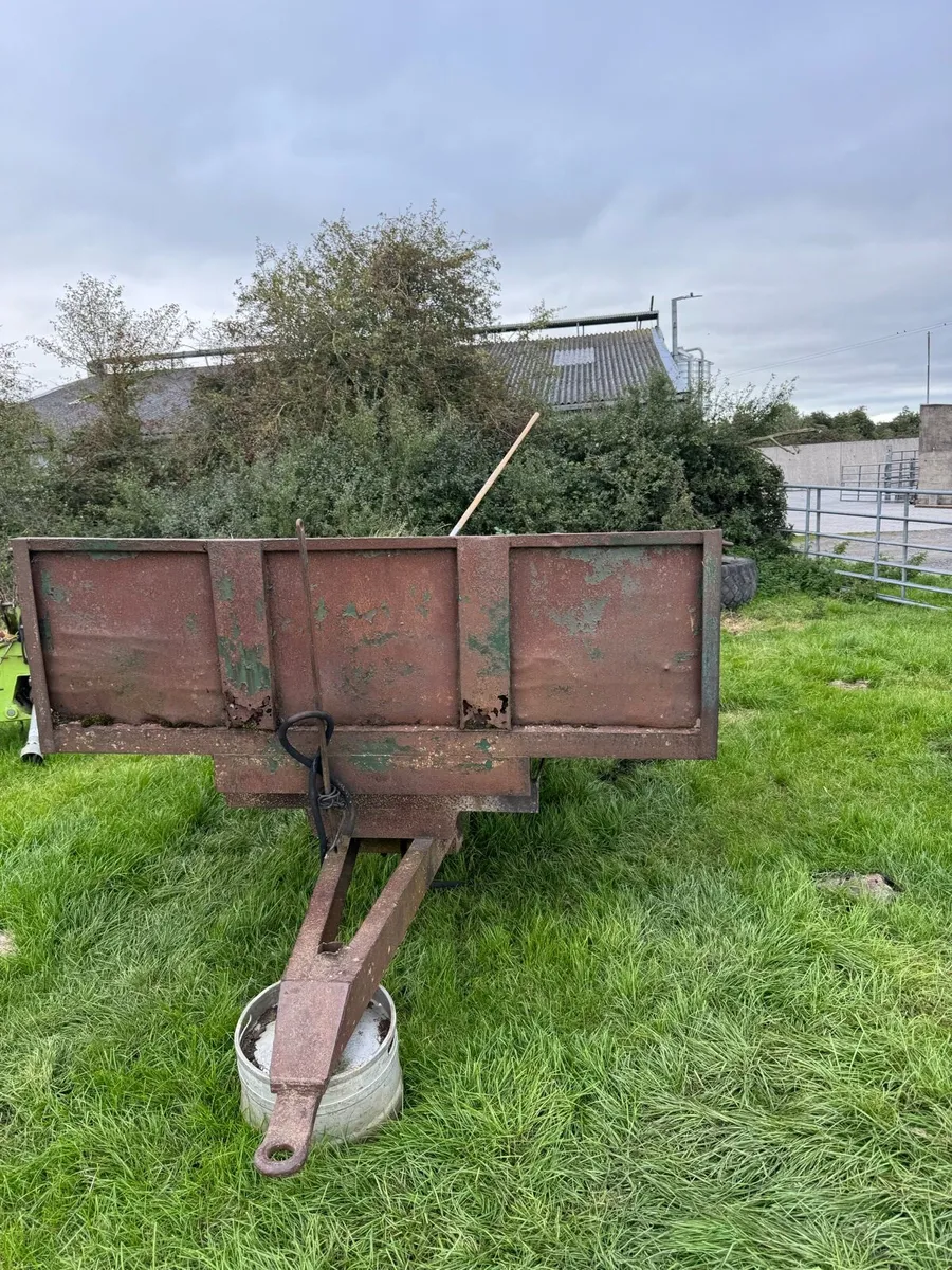 Yard clear out - Image 4