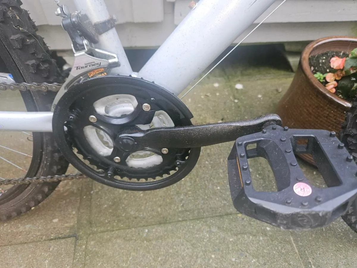 Adult/Teens Bike - Image 2