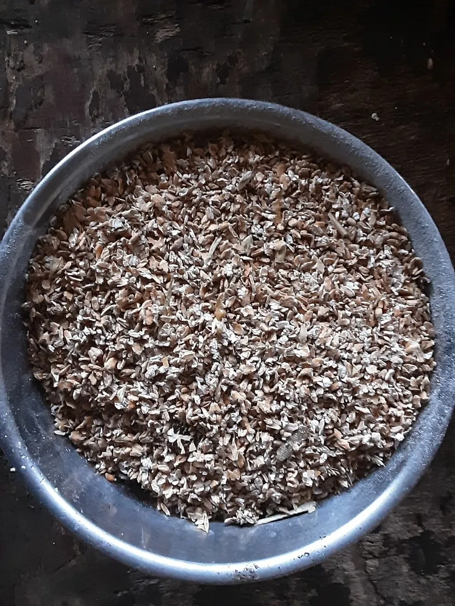 Grain - Image 2