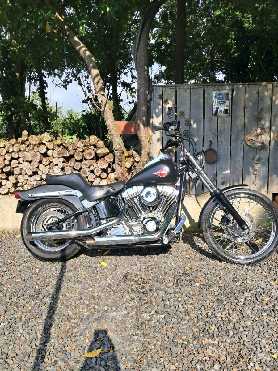 Harley-Davidson softail standard 2004 - Image 1