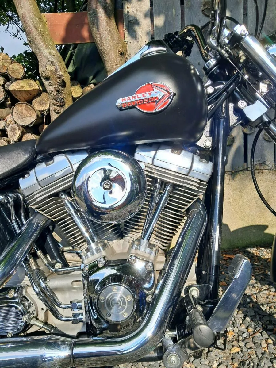 Harley-Davidson softail standard 2004 - Image 2