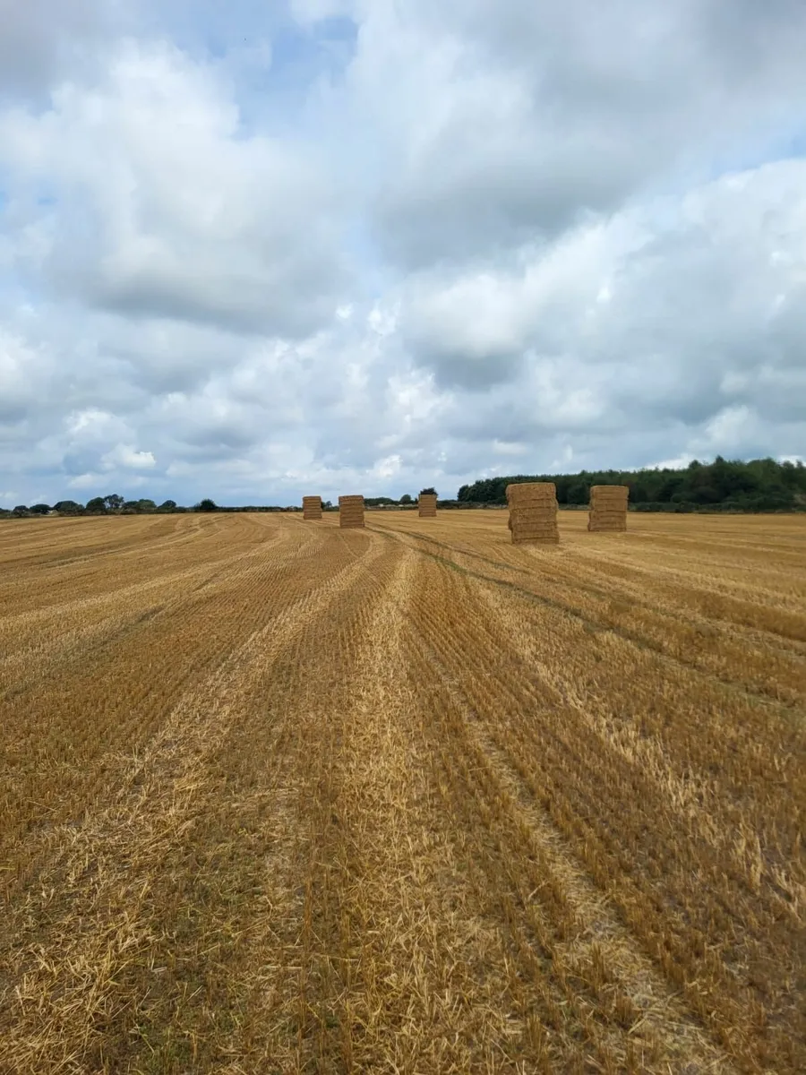 Wheaten Straw Bales
