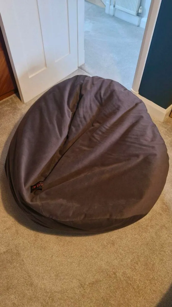 Large Bean Bag - Image 1