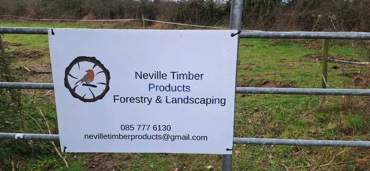 Whitethorn and hedging for sale - Image 1