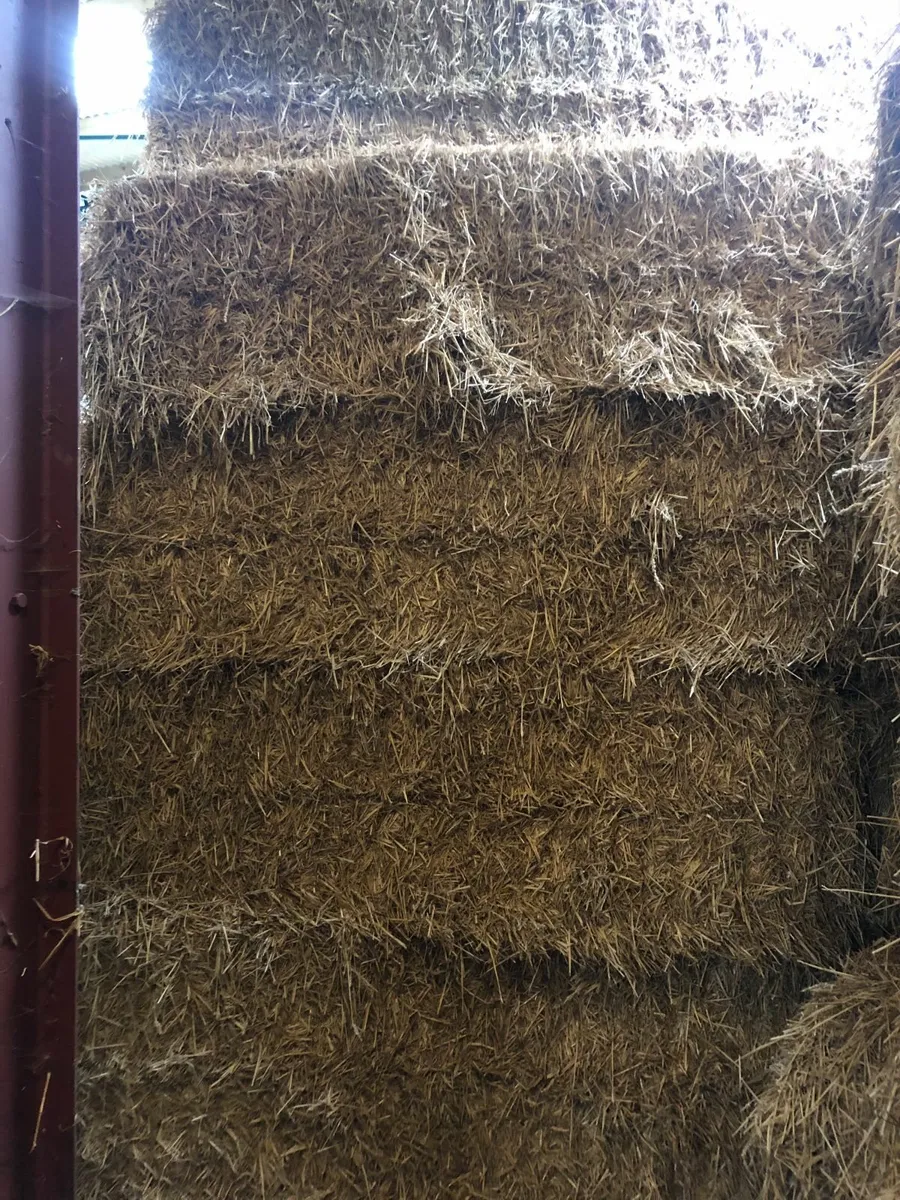 Big Square Bales Wheaten Straw - Image 3