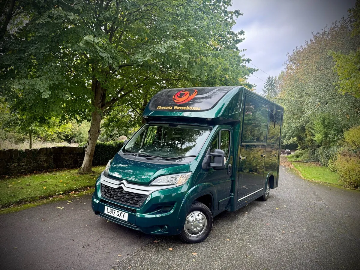 2017 Citroen Horse Box 2 - Image 1