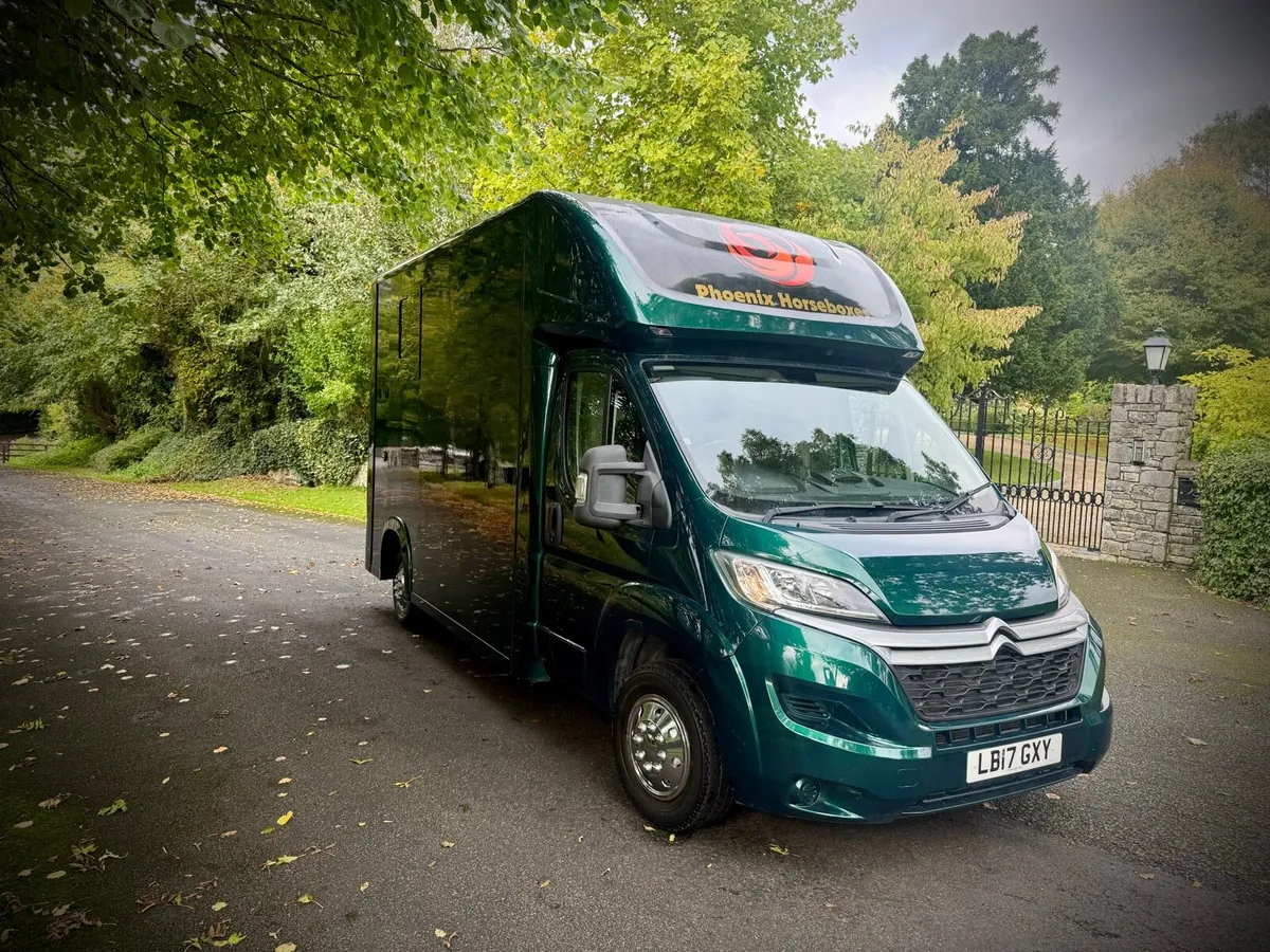 2017 Citroen Horse Box 2 - Image 2