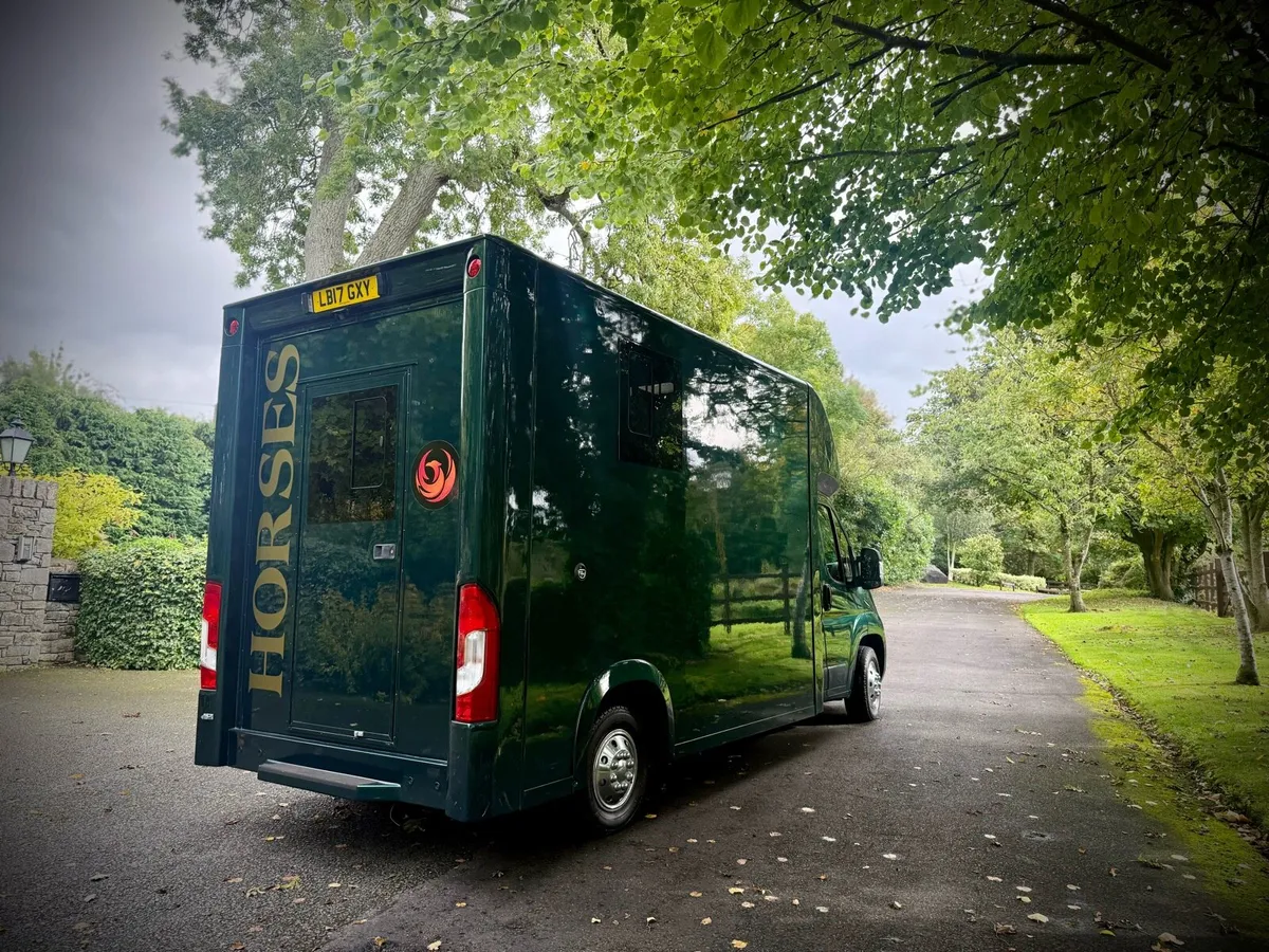 2017 Citroen Horse Box 2 - Image 3