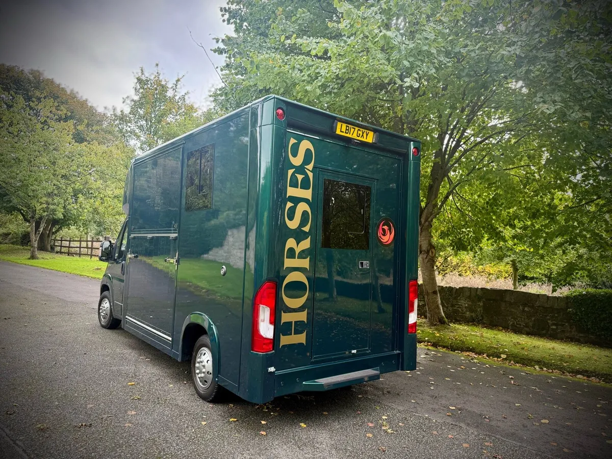 2017 Citroen Horse Box 2 - Image 4