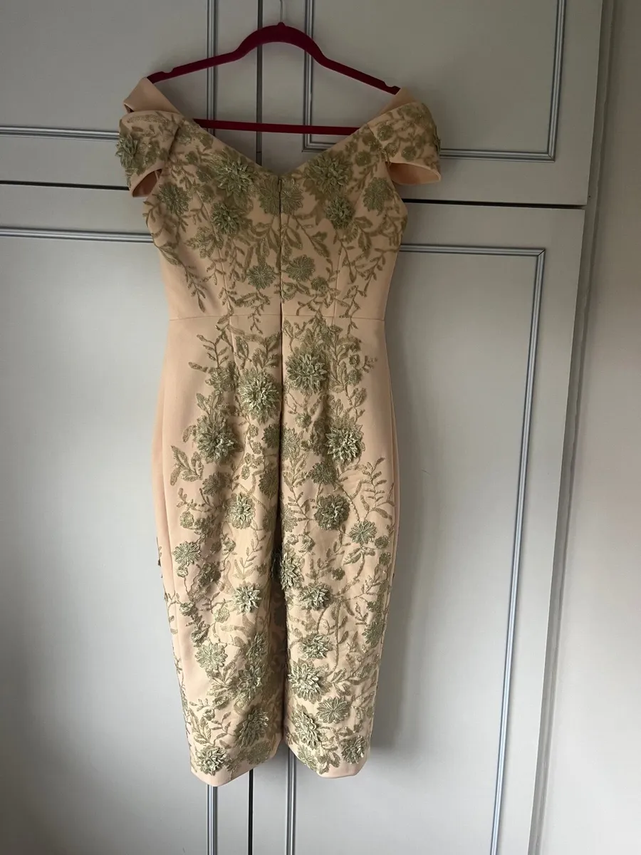 Ladies Occasion designed dress - Image 4