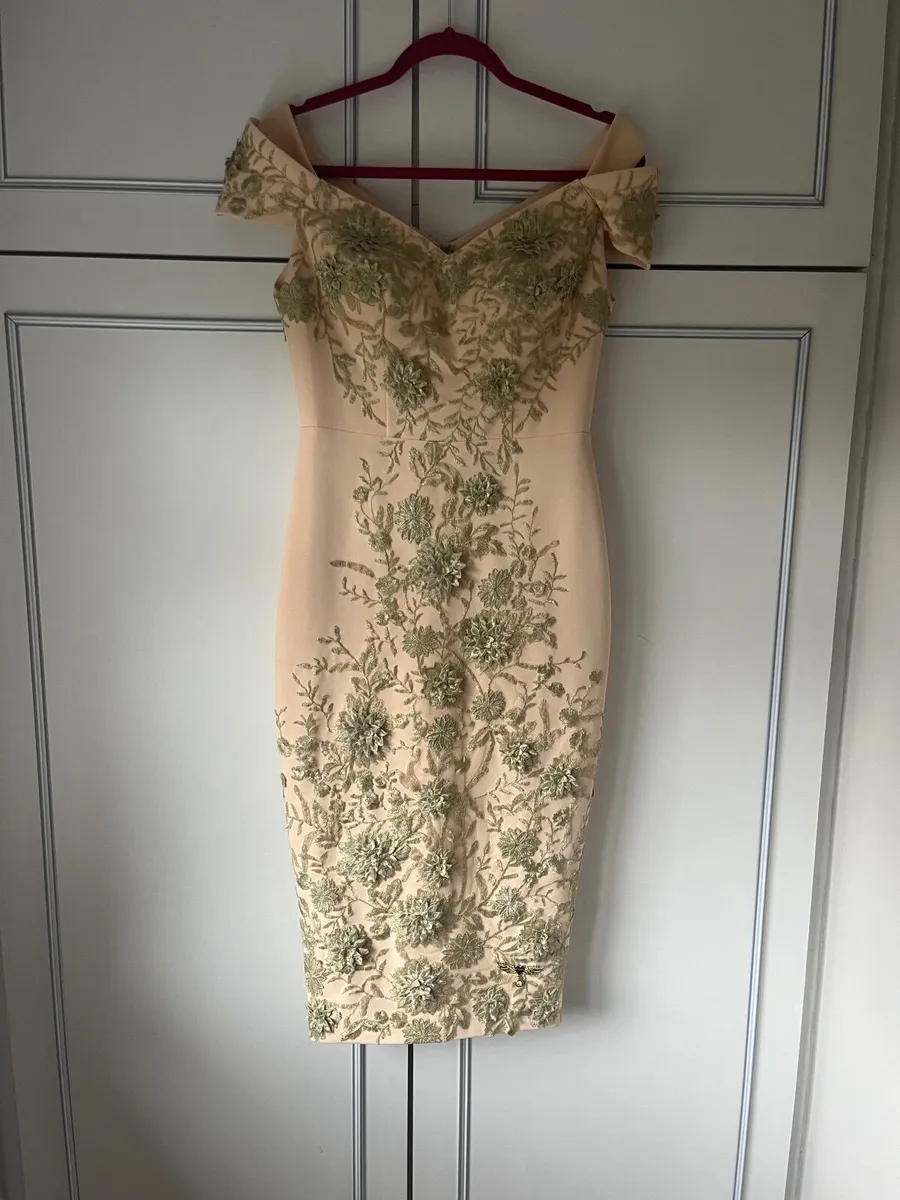 Ladies Occasion designed dress - Image 2