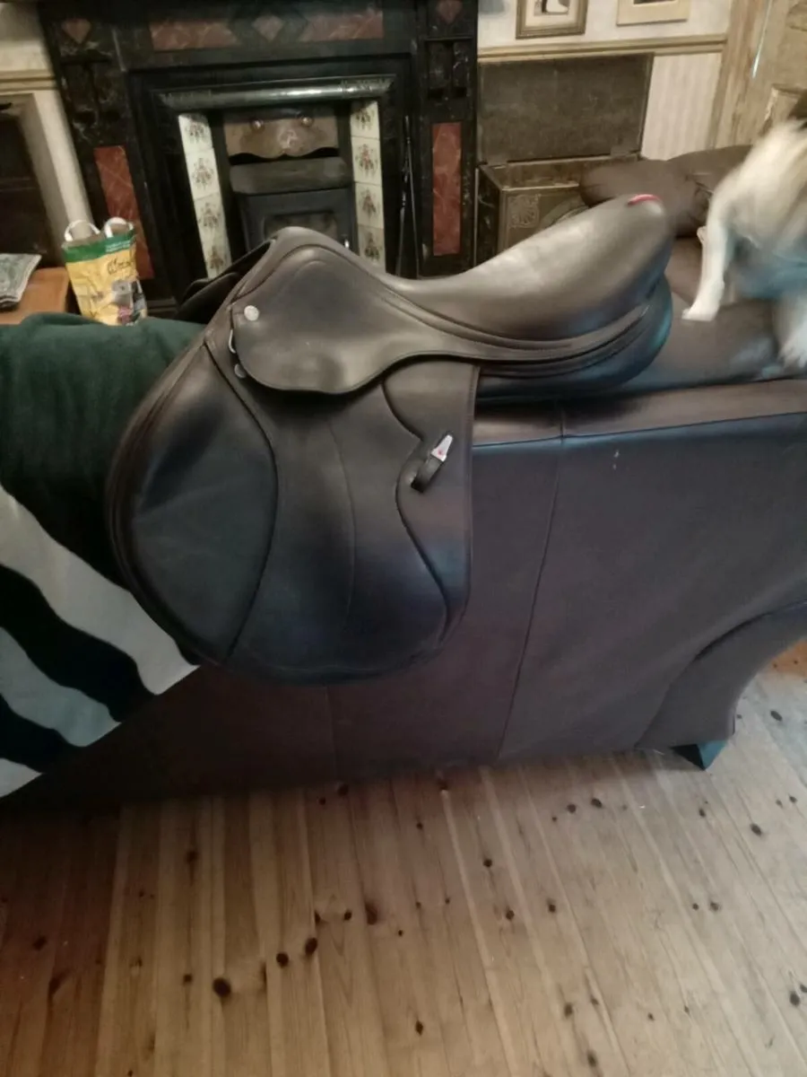 Equipe saddle for sale - Image 2