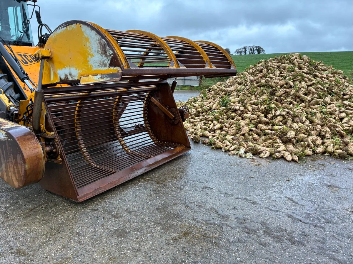 Beet Washer - Image 3