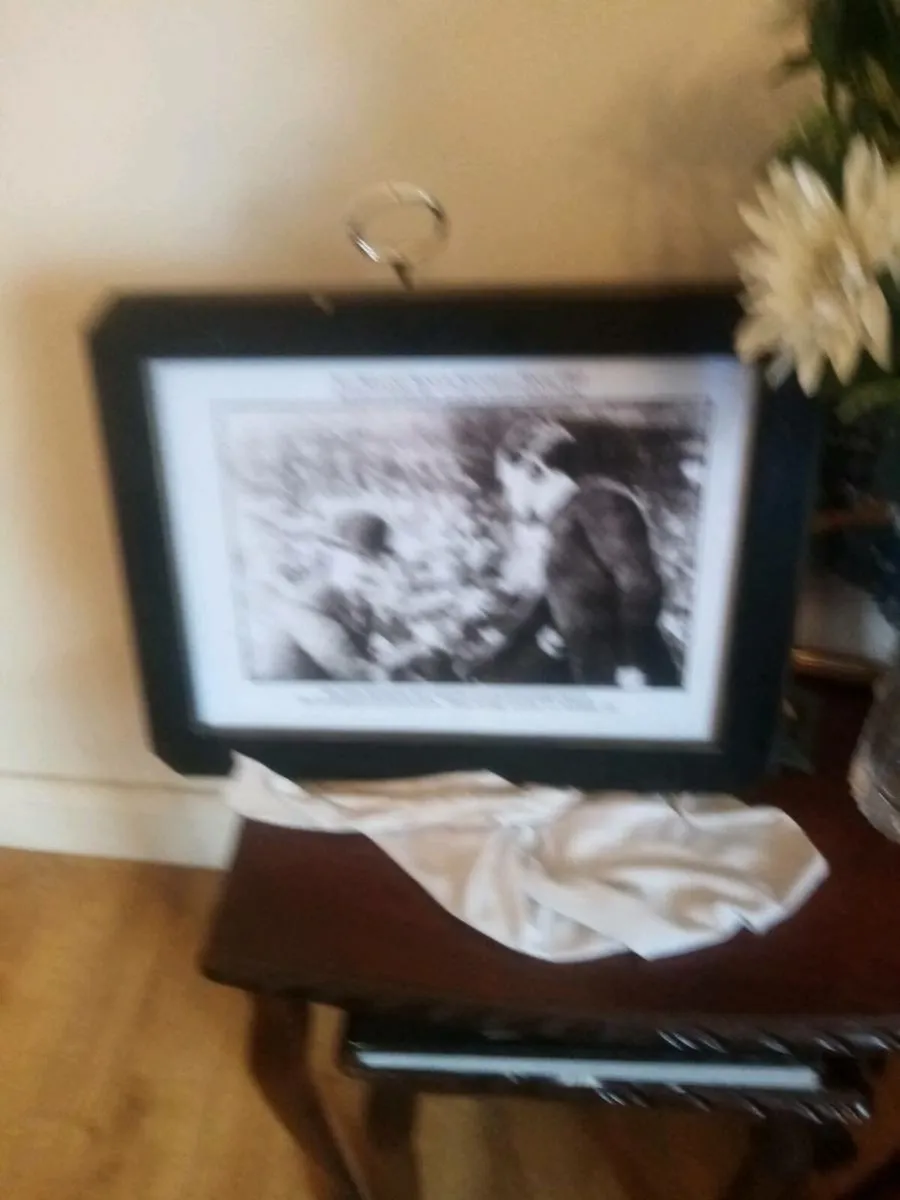 Picture - Image 4
