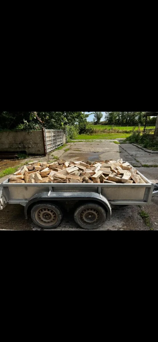 Firewood - Image 2