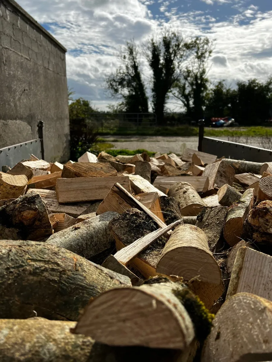 Firewood - Image 1