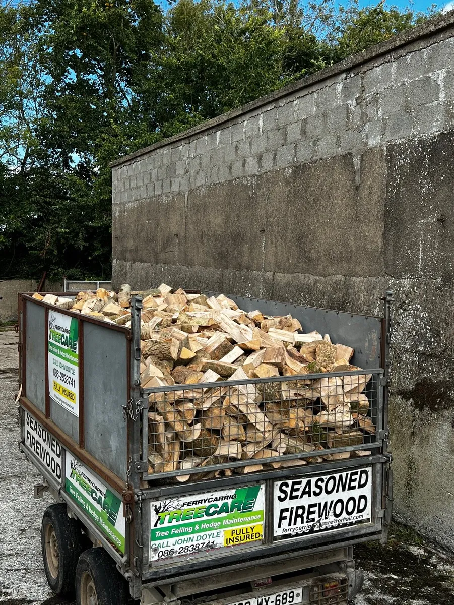 Firewood - Image 4