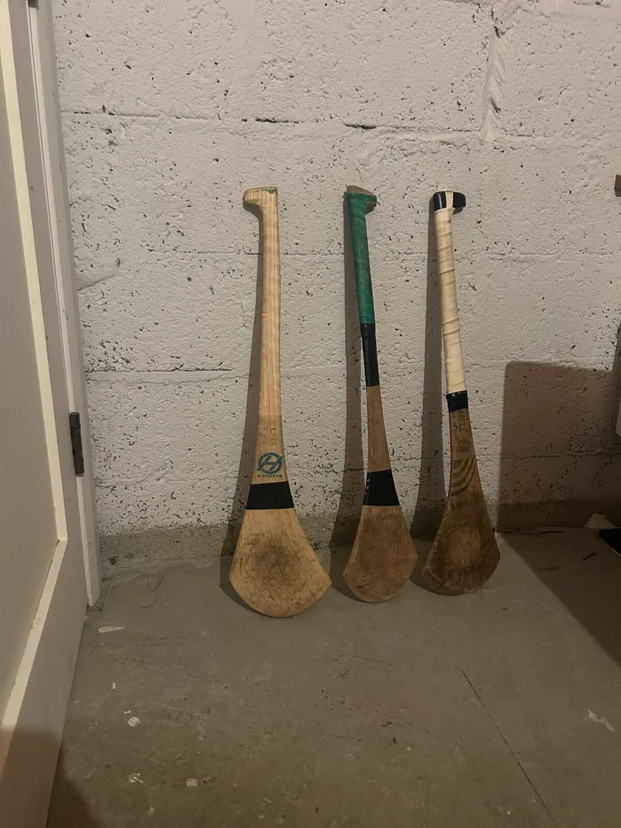 Higgins hurl , canning hurl and torpey Bambu