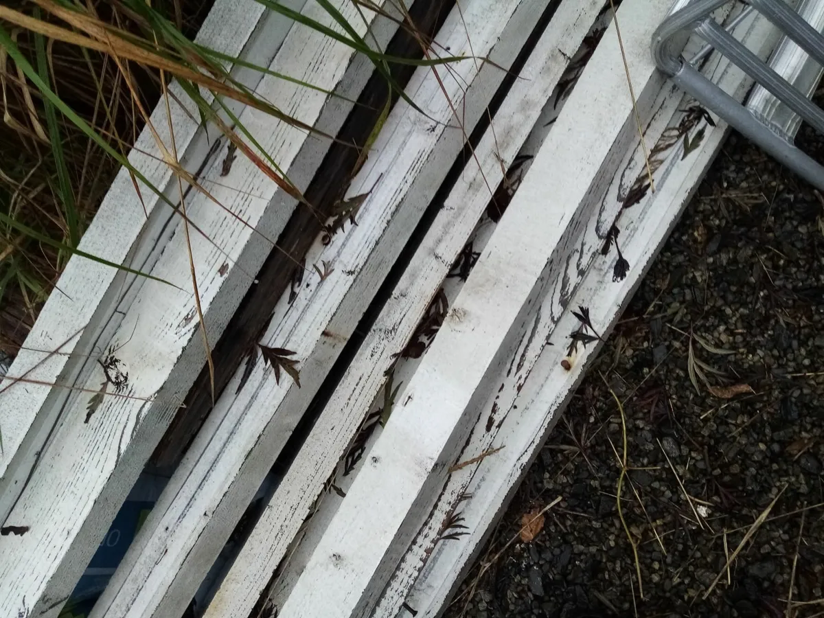 Painted wood free to take away - Image 1
