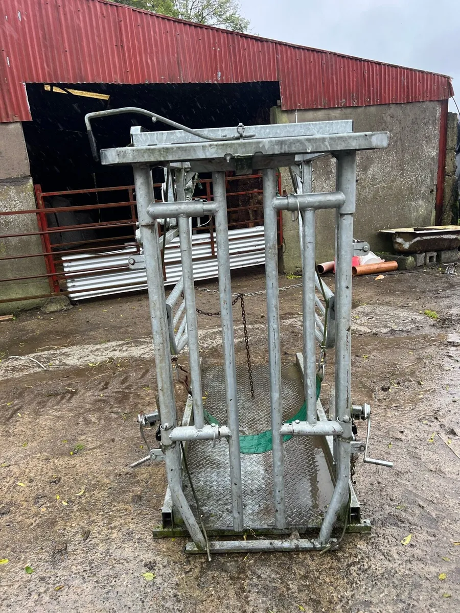 Hoof Crate - Image 3