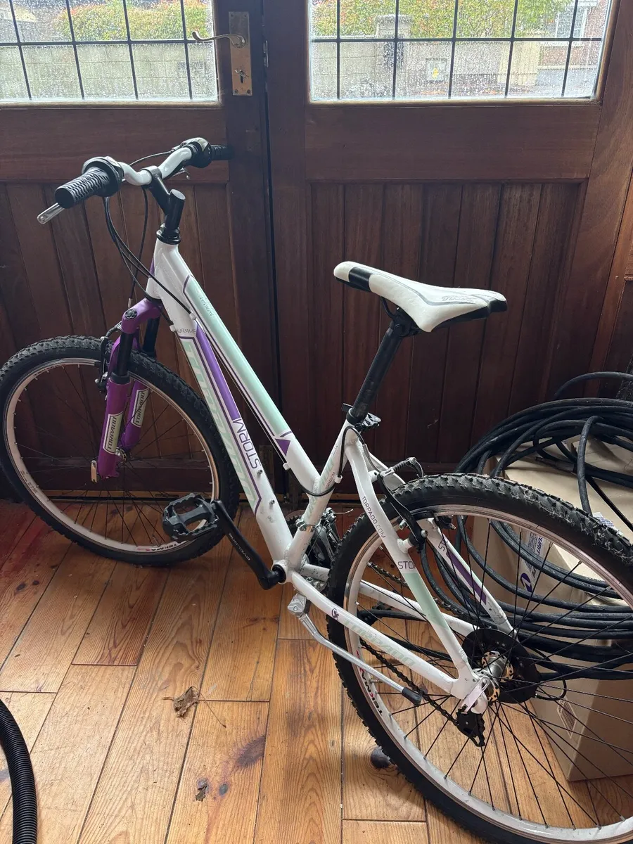 Bike - Image 1