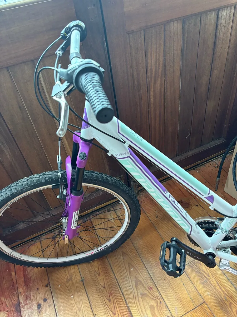 Bike - Image 2