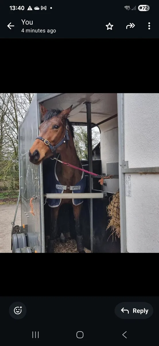 Cheval 2003XL Horse Trailer (2006 manu.) - Image 3