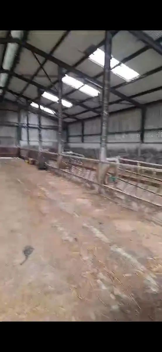 Slatted shed for rent - Image 2