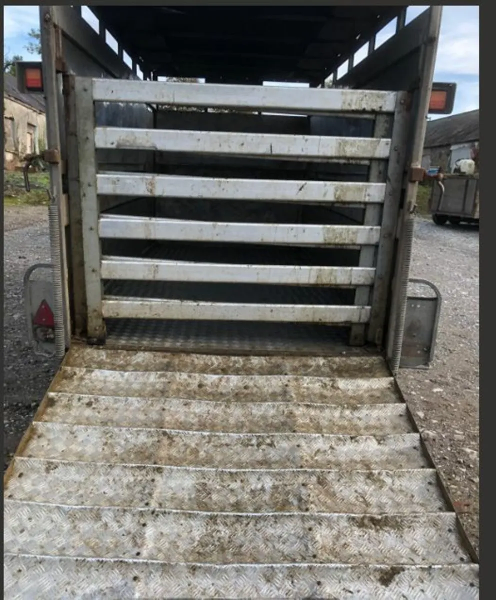 bateson livestock trailer - Image 4
