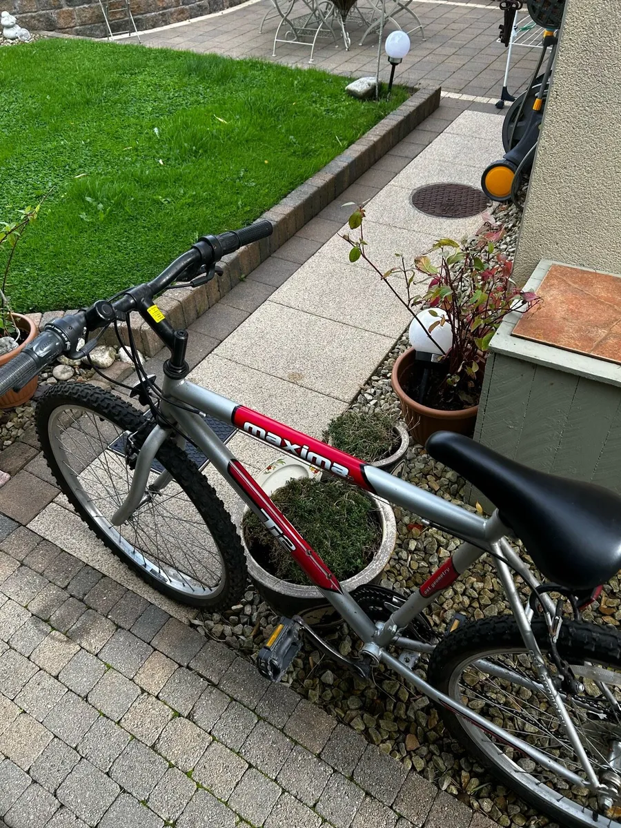 Men’s Bike. - Image 1